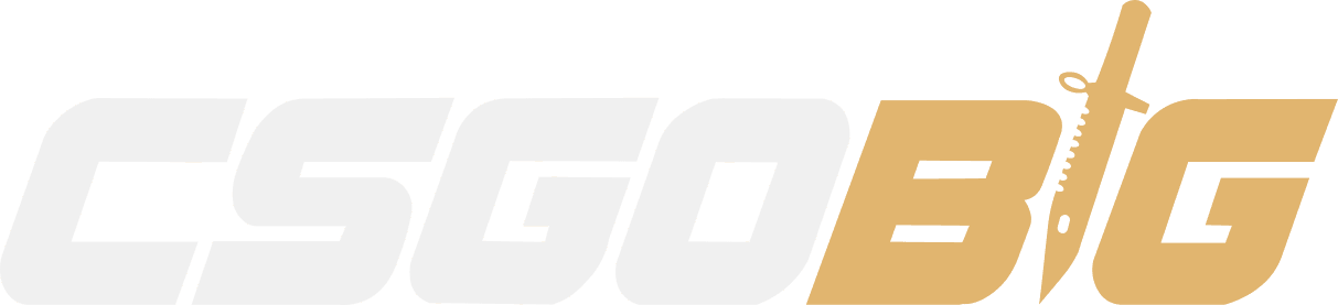 CSGOBig